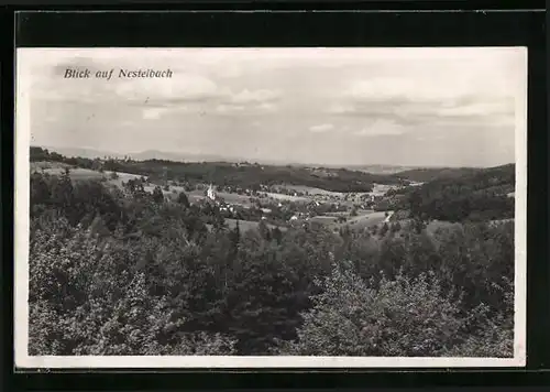 AK Nestelbach, Panoramablick auf den Ort
