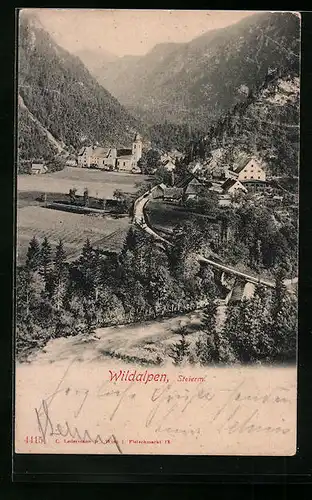 AK Wildalpen, Totale mit Gebirgswand