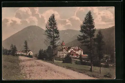 AK Semmering, Hotel Erzherzog Johann