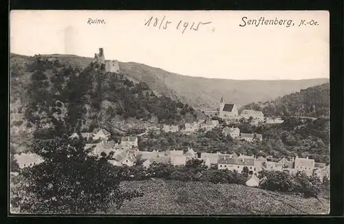 AK Senftenberg, Gesamtansicht mit Ruine