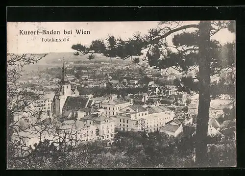 AK Baden bei Wien, Totalansicht