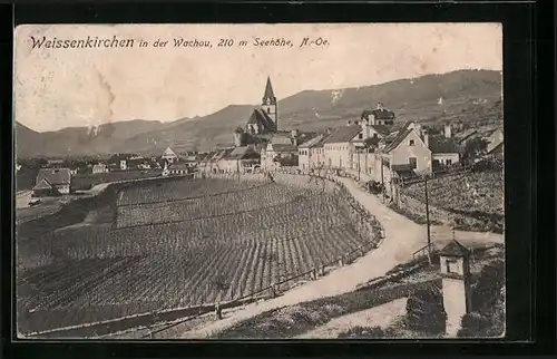 AK Weissenkirchen in der Wachau, Panorama mit Kirche