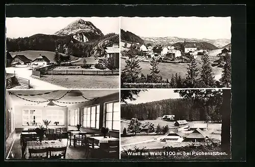 AK Puchenstuben, Gasthaus Wastl am Wald, Gesamtansichten