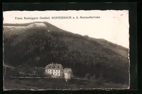 AK Winterbach a. d. Mariazellerbahn, Franz Bucheggers Gasthof