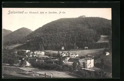 AK Salzerbad bei Kleinzell, Totalansicht