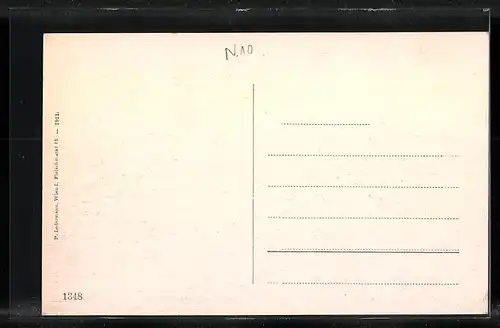 AK Salzerbad bei Kleinzell, Totalansicht