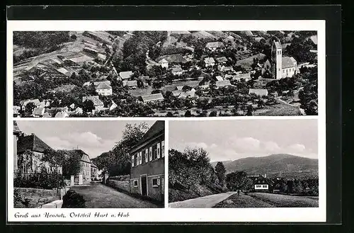 AK Neusatz, Totalansicht, Teilansicht von Hart und Hub