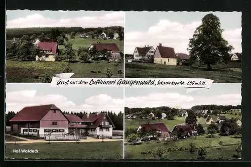 AK Gaugenwald / Schwarzwald, Hof Waldeck, Teil- und Gesamtansichten