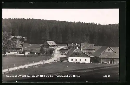 AK Puchenstuben, Teilansicht mit Gasthaus Wastl am Wald