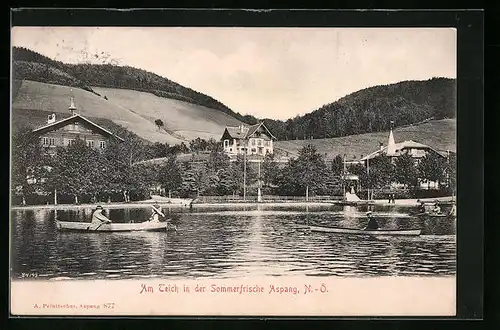 AK Aspang, Gebäudepartien am Teich