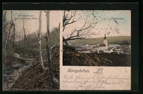 AK Königstetten, Promenade zum Rekonvaleszenten-Heim, Panorama