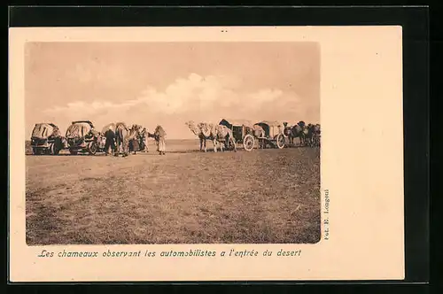 AK Les chameaux oberservant les automobilistes a l`entrée du desert