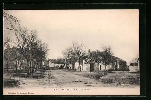 AK Le Puy-Notre-Dame, La Paleine