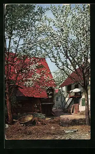 AK Schwarzwald /Steinach, Bauernhof im Frühling