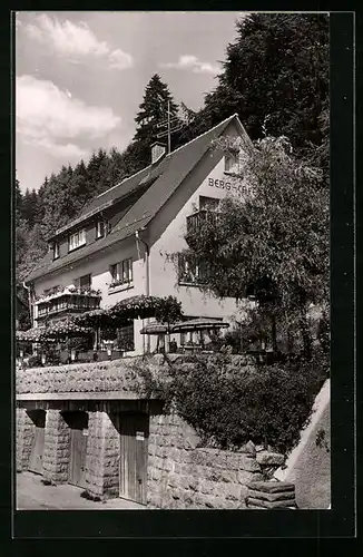AK Triberg /Schwarzwald, Berg-Café und Pension Börschig, Bes. Anita Börschig