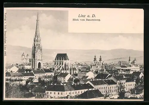 AK Linz a. D., Blick vom Bauernberg auf den Ort mit Kirche
