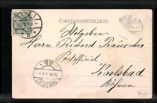 AK Linz /Donau, Ortsansicht vom Wasser aus, Linzerin