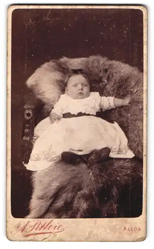 Fotografie A. Pithie, Alloa, Mill Street, Portrait eines Babys im Spitzenkleid