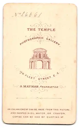 Fotografie A. Mayman, London, 170. Fleet St., Junge Dame mit zurückgesteckten Haaren