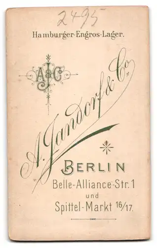 Fotografie A. Jandorf & Co, Berlin, Belle-Alliance-Str.1, Junger Mann mit Fliege an Konsole lehnend