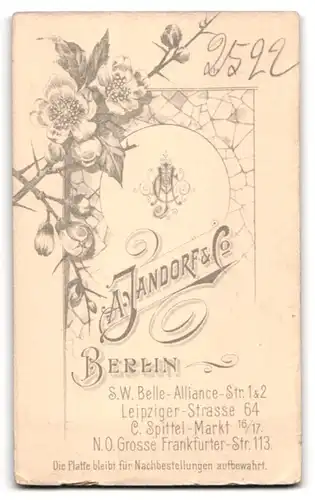 Fotografie A. Jandorf & Co, Berlin, S. W. Belle-Alliance-Str. 1 & 2, Herr mit Bart zur Seite blickend