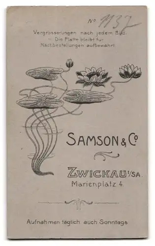 Fotografie Samson & Co, Zwickau, Marienplatz 4, Mann mit Schnurrbart und Anzug