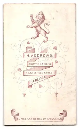 Fotografie H. Andrews, Carlisle, 46 Sheffield Street, Bildhübsche Frau in dunklem Kleid