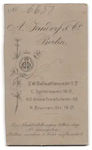 Fotografie A. Jandorf & Co., Berlin, S.E. Bellealliancestr. 1 /2, Junges Mädchen in heller Bluse mit Buch