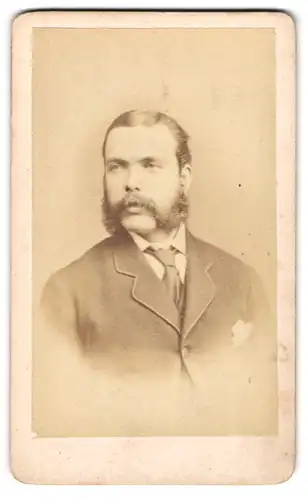 Fotografie The London Portrait Co., London, 68 Cheapside, Portrait eines Herrn mit Bart