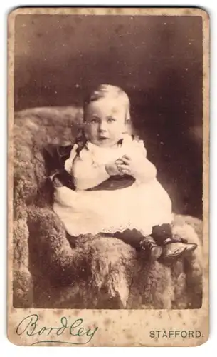 Fotografie Bordley, Stafford, Newport Road, Niedliches Kleinkind auf einem Fell sitzend