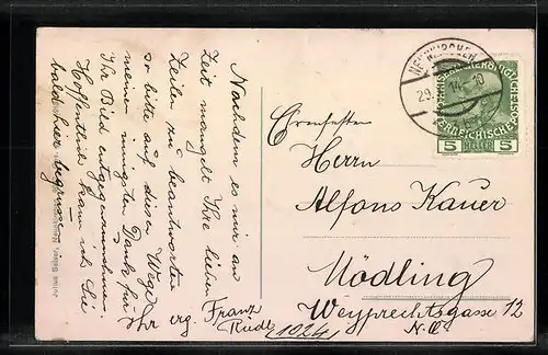 AK Reichenau, Teilansicht mit Bergpanorama, Rax