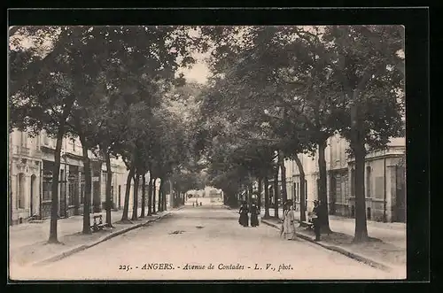AK Angers, Avenue de Contades