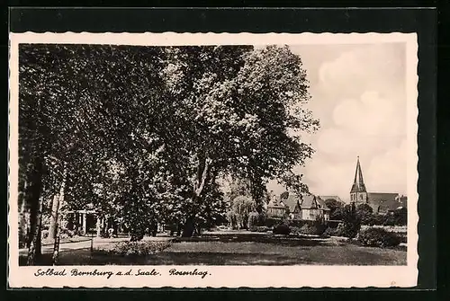 AK Bernburg /Saale, Spaziergang im Rosenhag