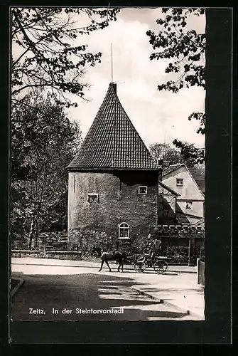 AK Zeitz, In der Steintorvorstadt mit Pferdewagen