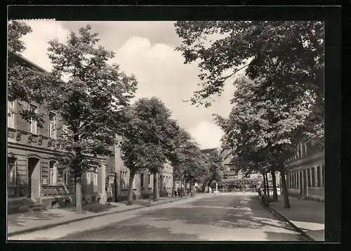 AK Güsten /Kr. Stassfurt, Bahnhofstrasse mit Bäumen