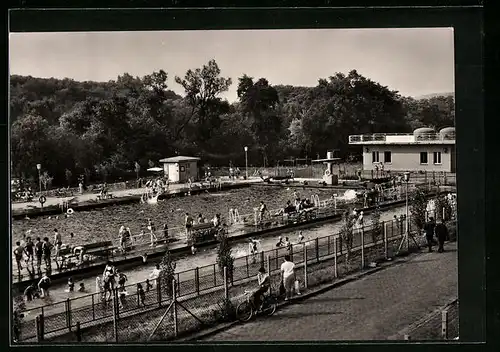 AK Rothenburg /Saale, Freibad (Blick aufs Schwimmbecken)