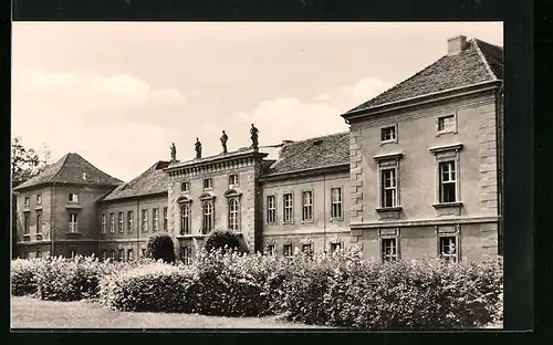 AK Rheinsberg /Mark, Schloss, jetzt Sanatorium Helmut Lehmann