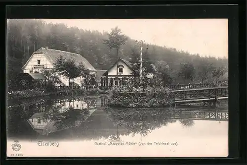 AK Eisenberg, Gasthof Naupolds Mühle von der Teichinsel gesehen
