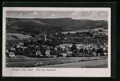 AK Königsee /Thür., Teilansicht mit Blick zum Stadtwald