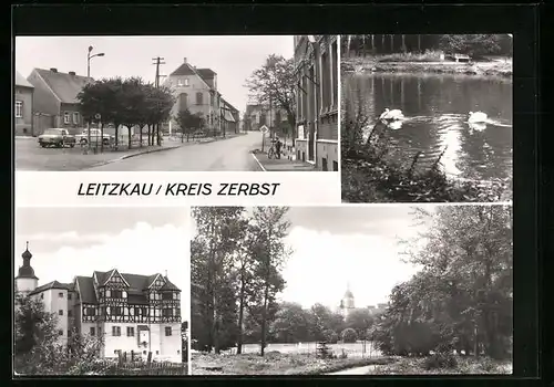 AK Leitzkau /Kreis Zerbst, Schloss, Strassenpartie