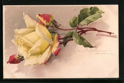 Künstler-AK Catharina Klein: Gelb-Rote Rose mit Stiel