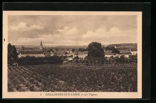 AK Chalonnes-sur-Loir, et ses Vignes