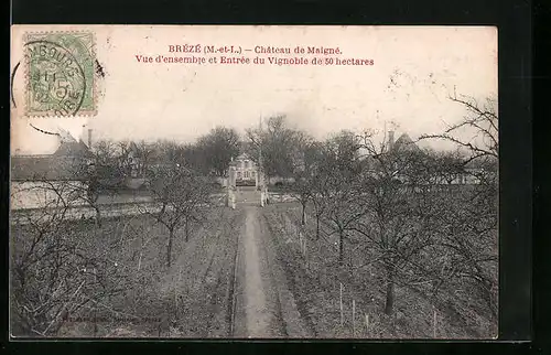 AK Brézé, Chateau de Maigne, Vue de'ensemble et Entree du Vignoble de 50 hectares