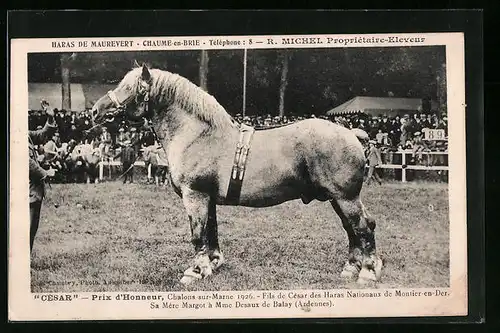 AK Chaume-en-Brie, César, Prix d`Honneur