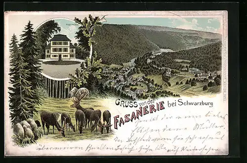Lithographie Schwarzburg, Fasanerie, Rotwild, Gesamtansicht
