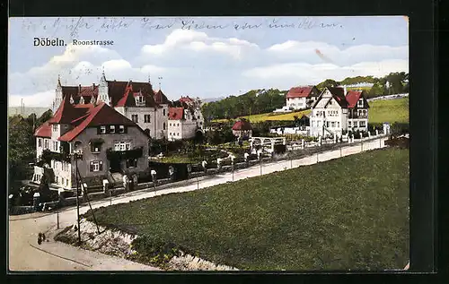 AK Döbeln, Villen in der Roonstrasse