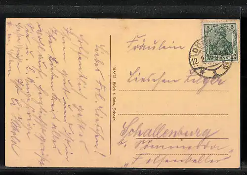 AK Döbeln i. Sa., Anlagen an der Staupitzstrasse