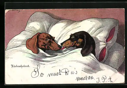 Künstler-AK Fritz Quidenus: Liebesheirat, Dackel-Ehepaar erwacht am frühen Morgen