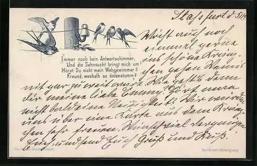 AK Immer noch kein Antwortschimmer..., Vögel auf dem Telegraphenmast, Schreibfaul