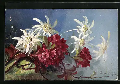 Künstler-AK Mary Golay: Edelweiss und Rhododendron